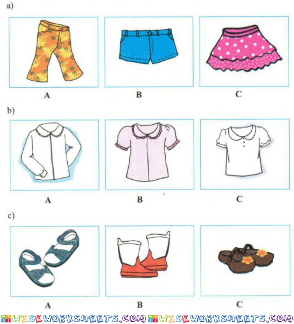 Choose the correct item (clothing)