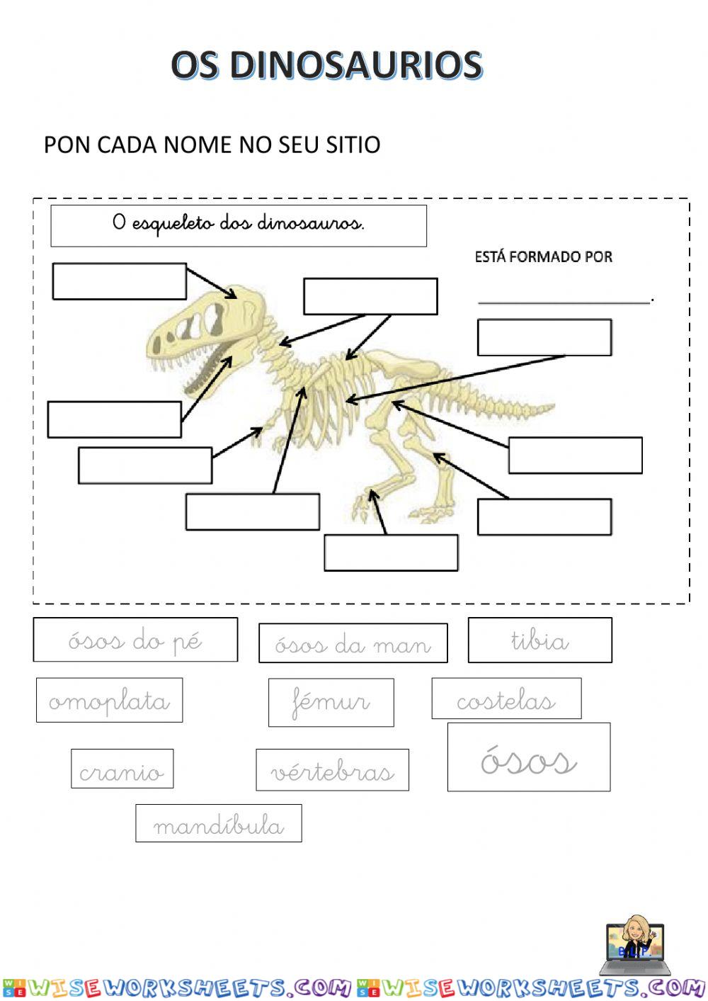 Ósos dos dinosaurios