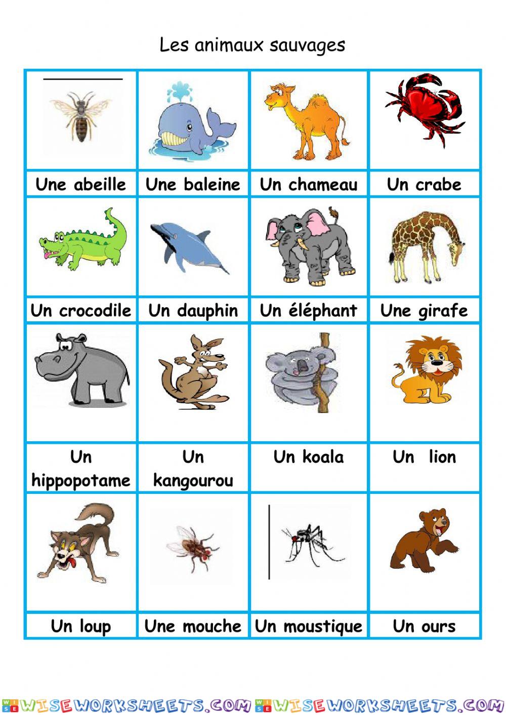 Les animaux sauvages