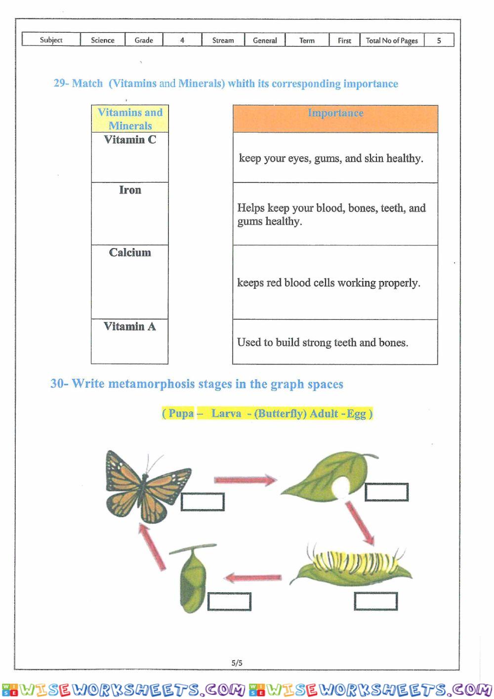 worksheet