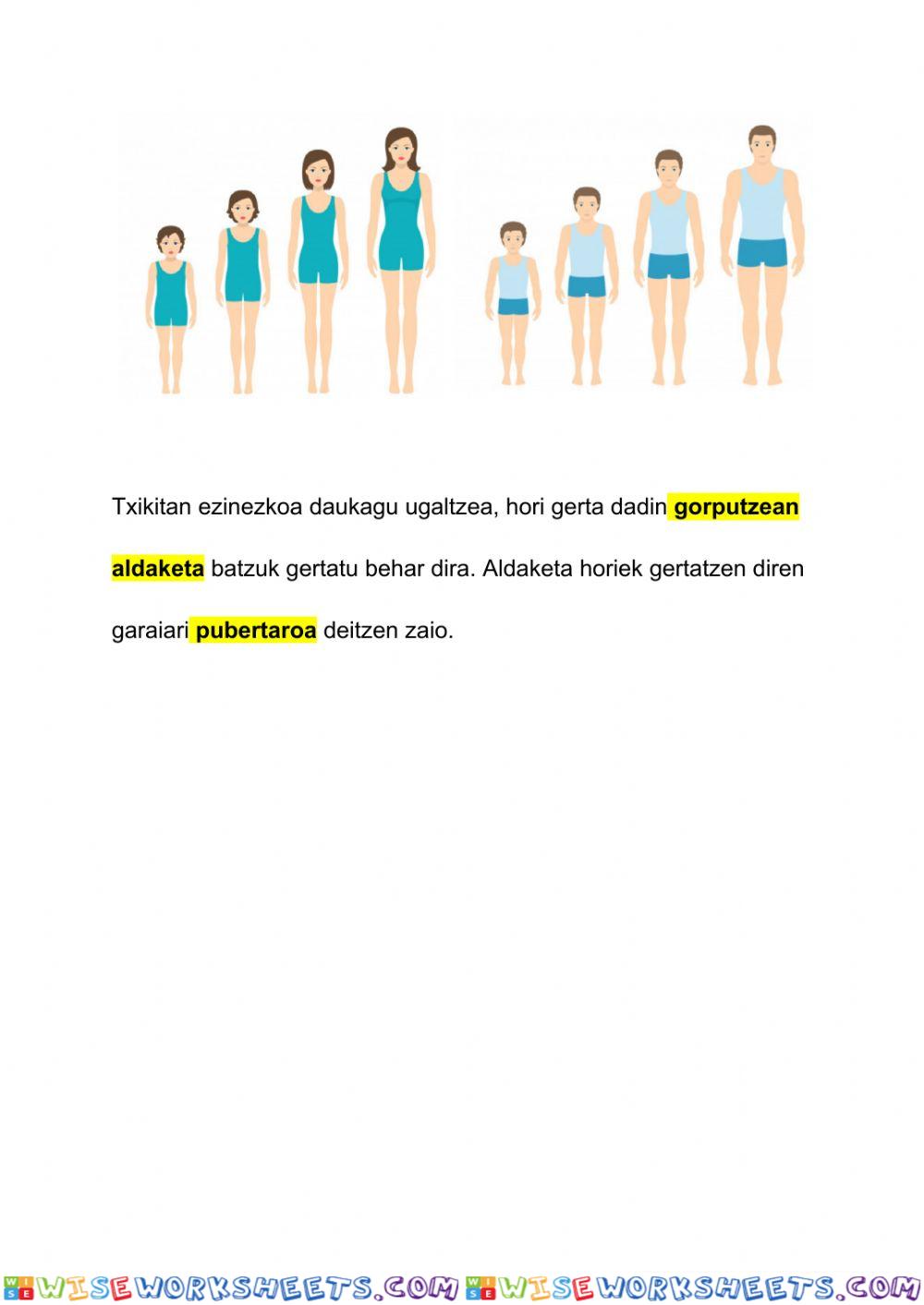 worksheet