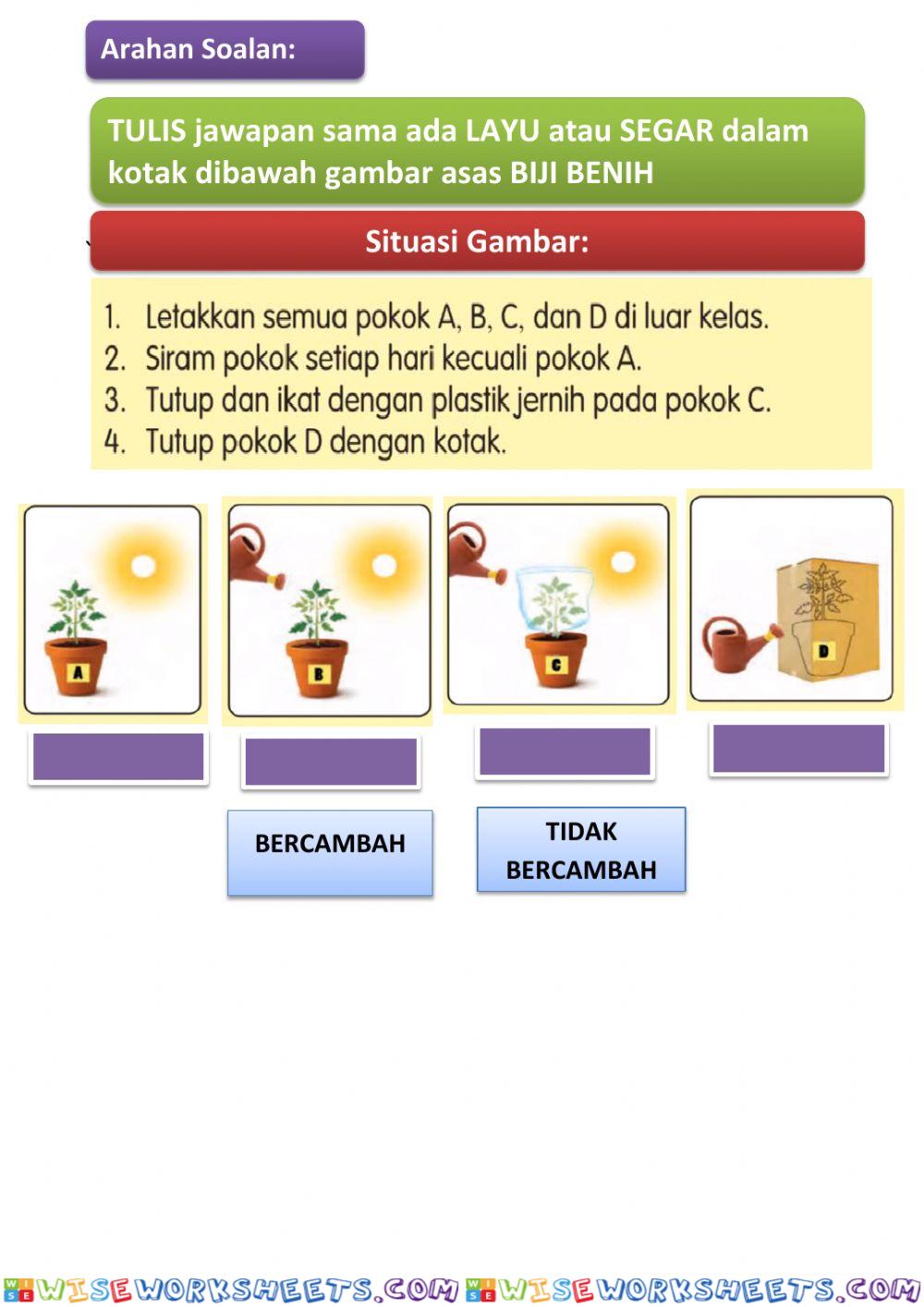 Eksperimen keperluan asas biji benih