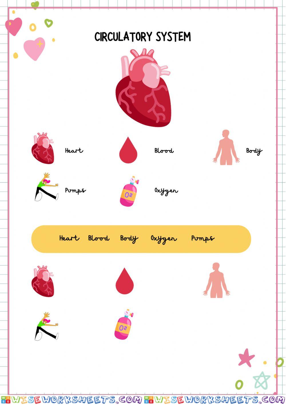 worksheet