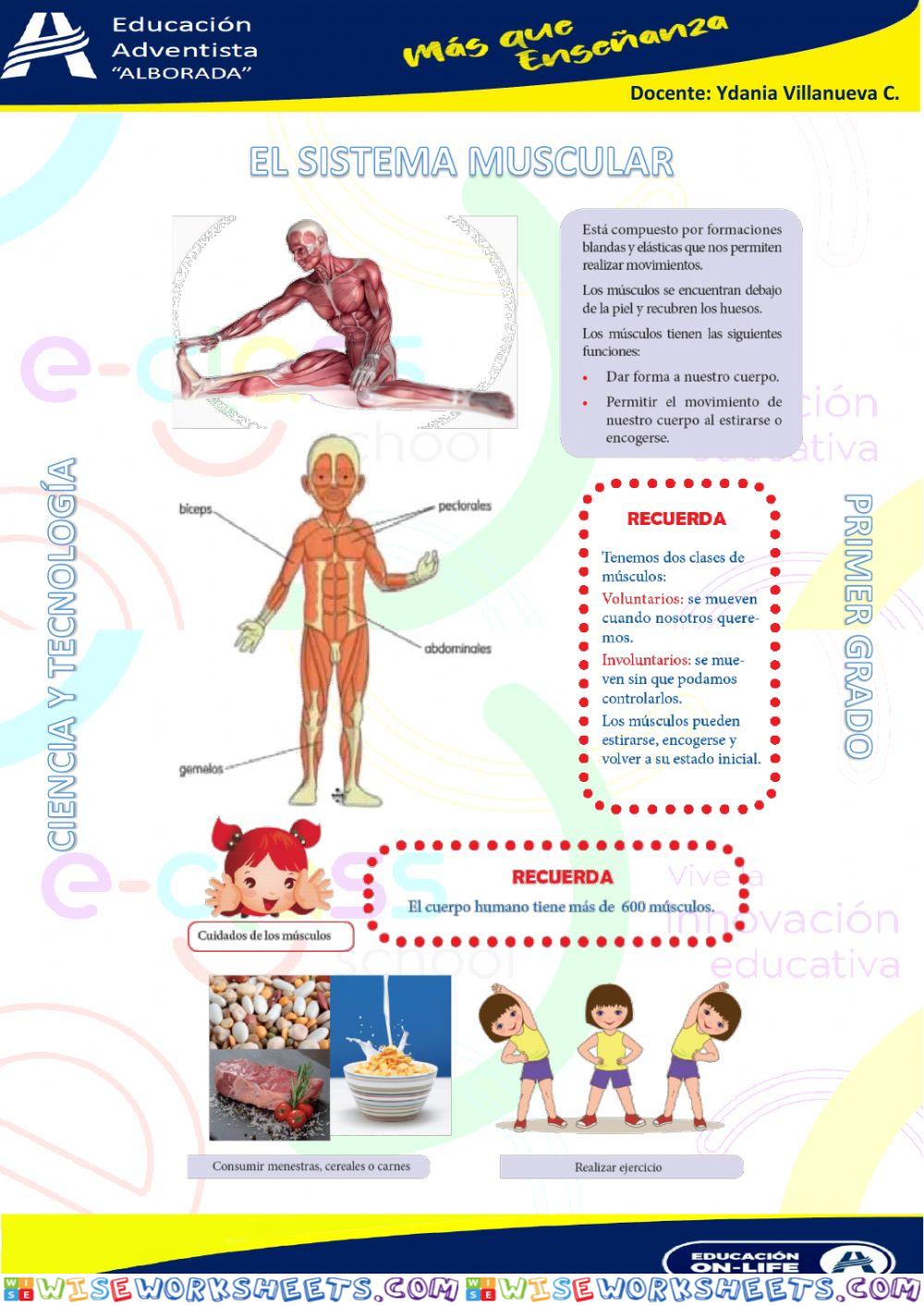 worksheet