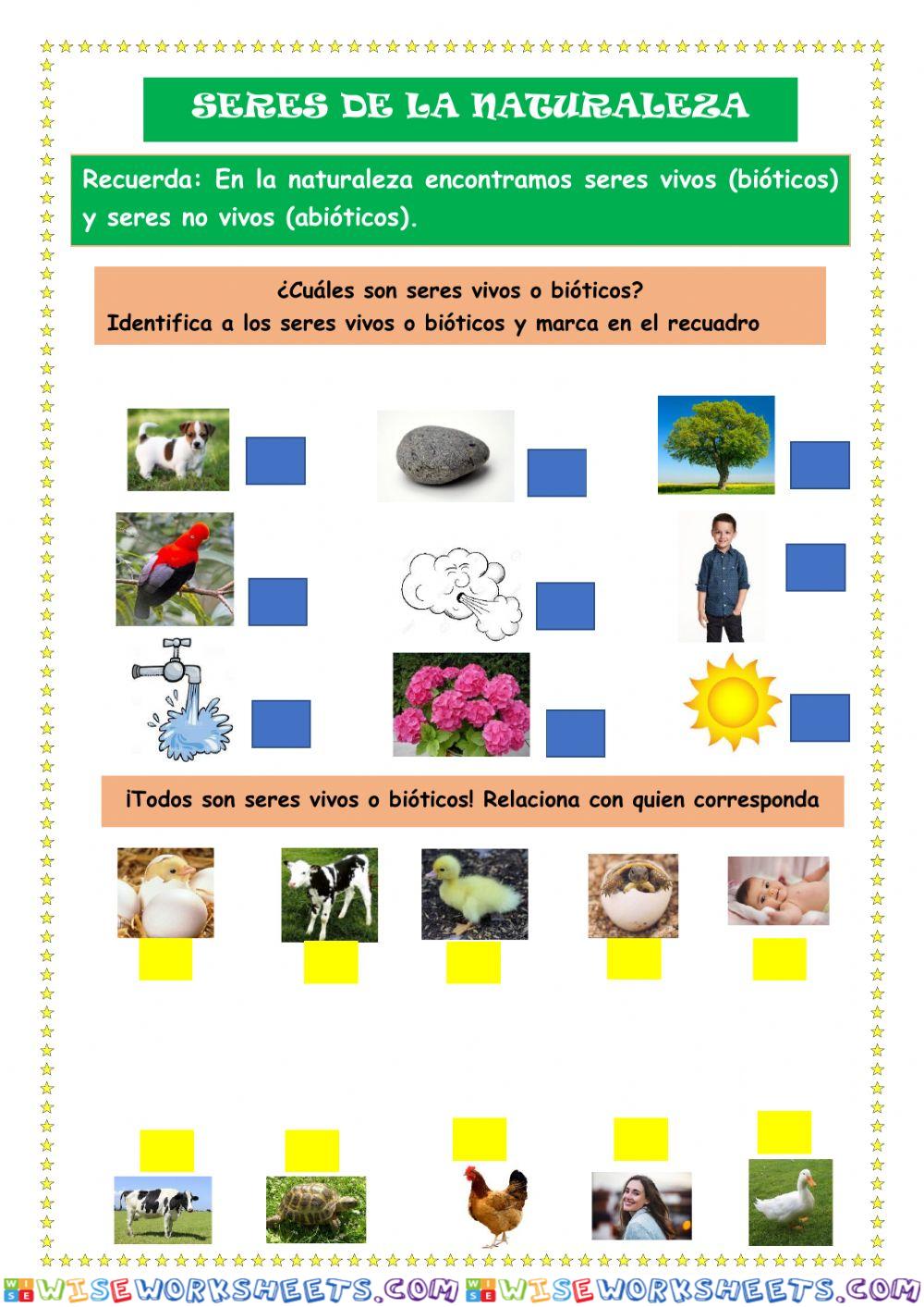 Seres de la naturaleza Primer grado