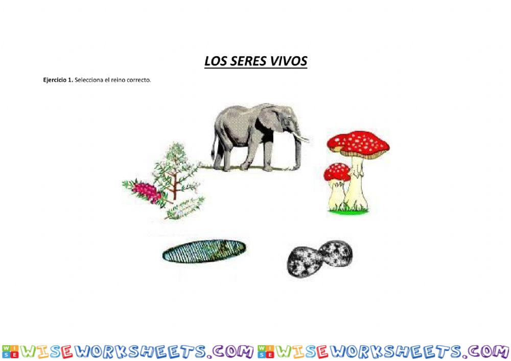 Seres vivos