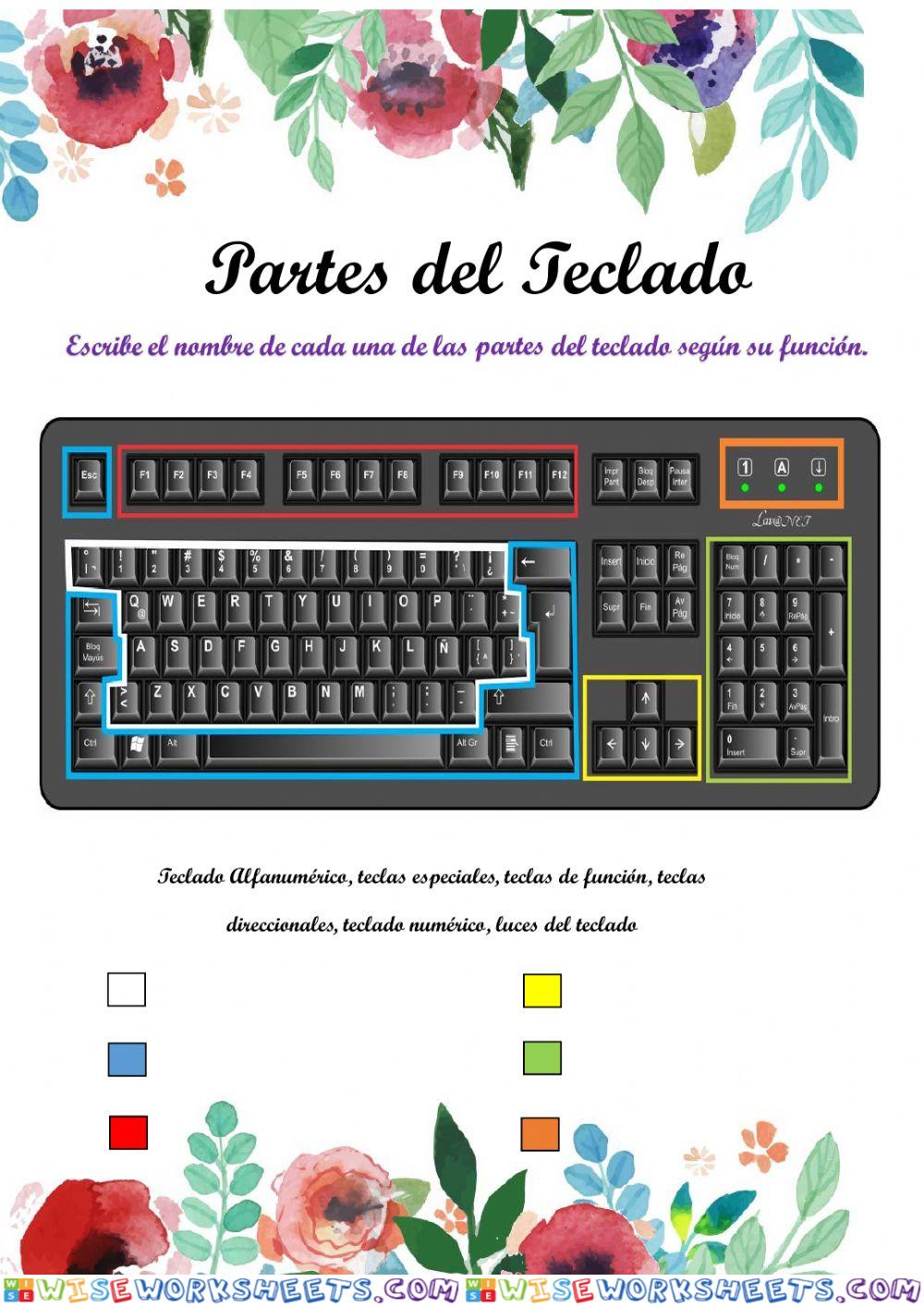 Partes del Teclado