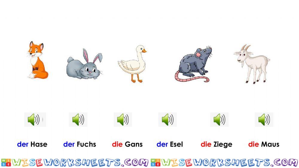 worksheet