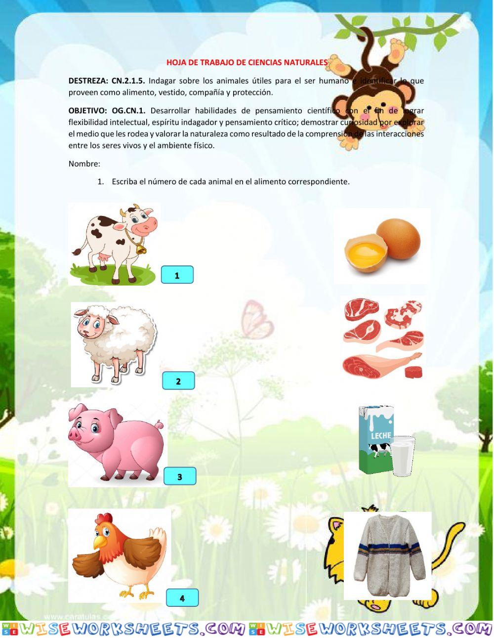 Animales de protección