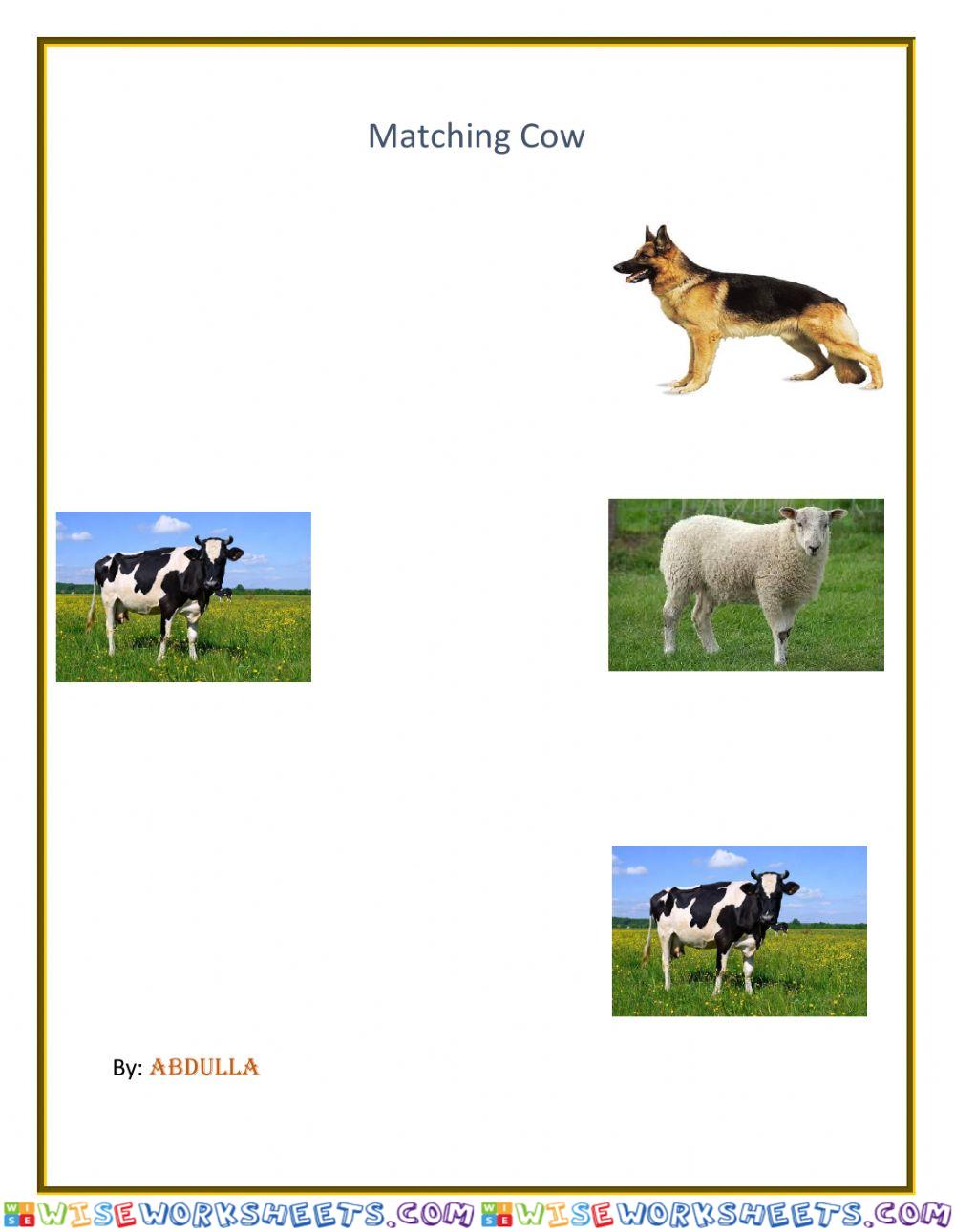 Match the cow