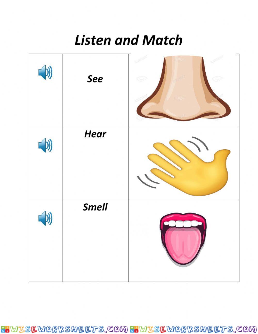 Senses