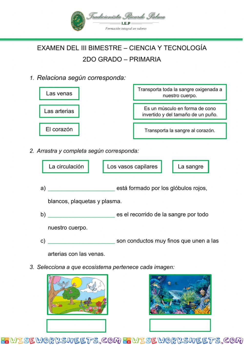 Examen