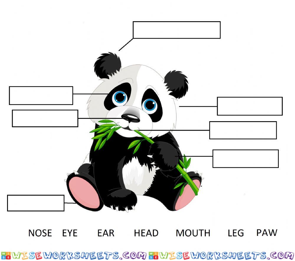 Body part of panda