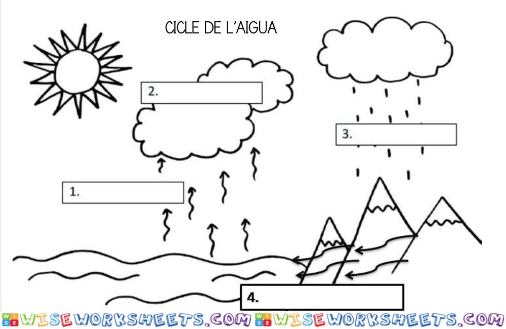 Cicle de l'aigua