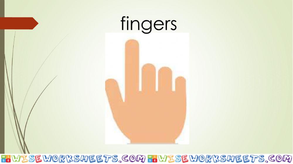 worksheet