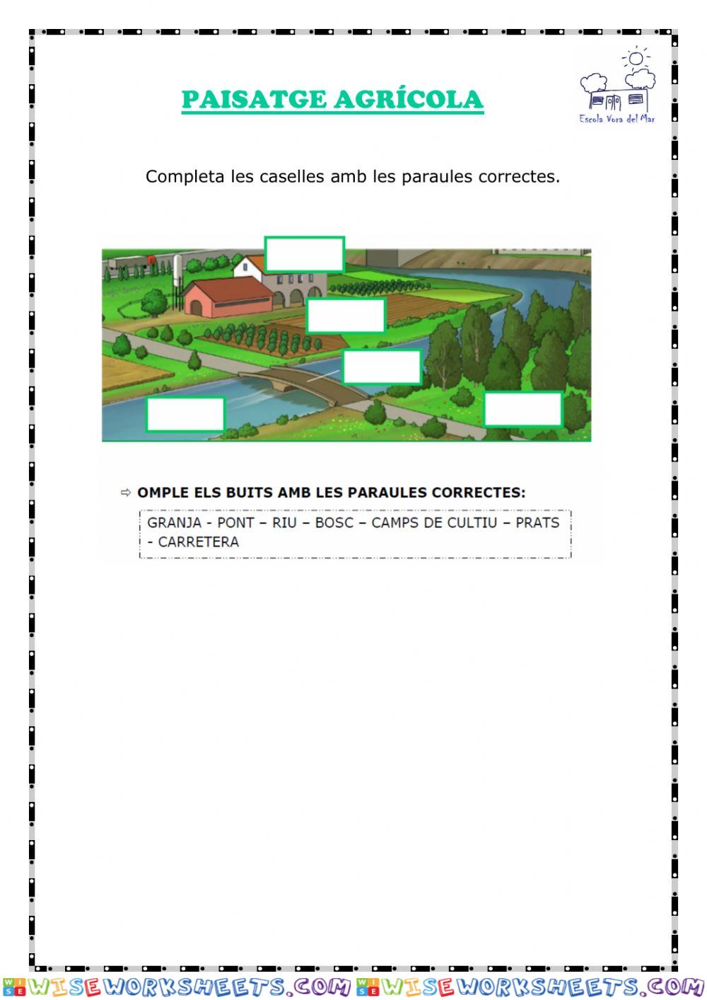 PAISATGE AGRÍCOLA
