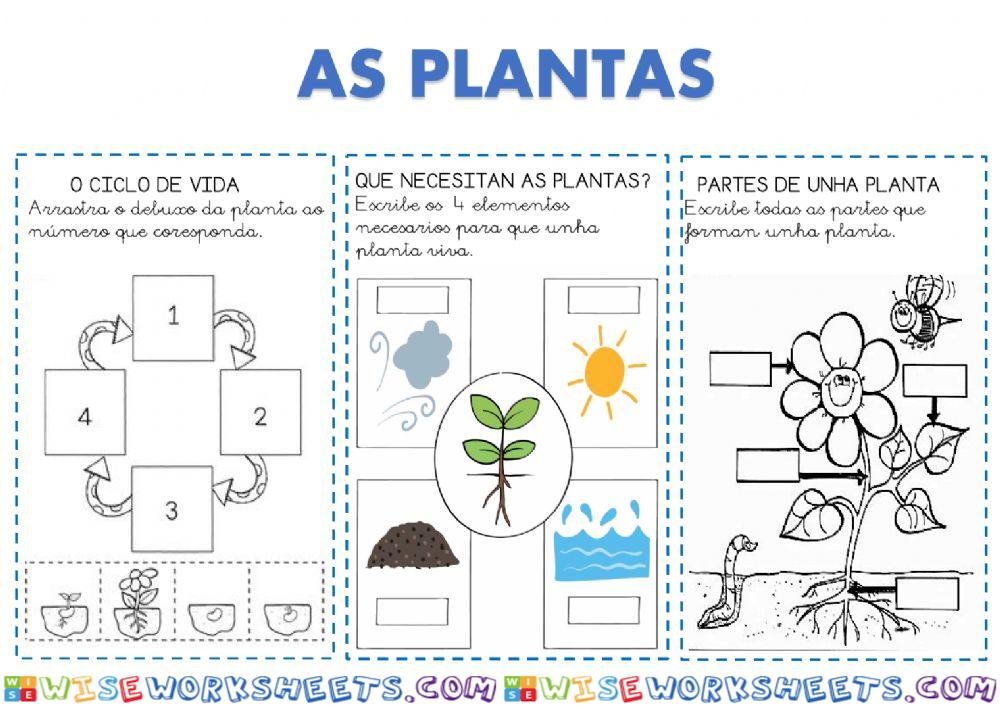 As plantas
