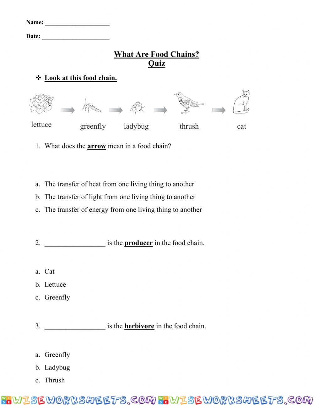 worksheet