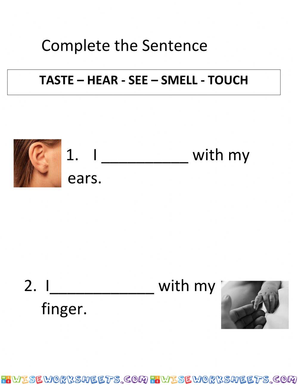 Five Sense