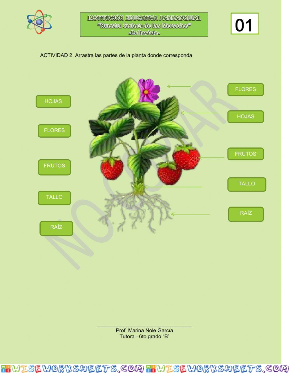 worksheet