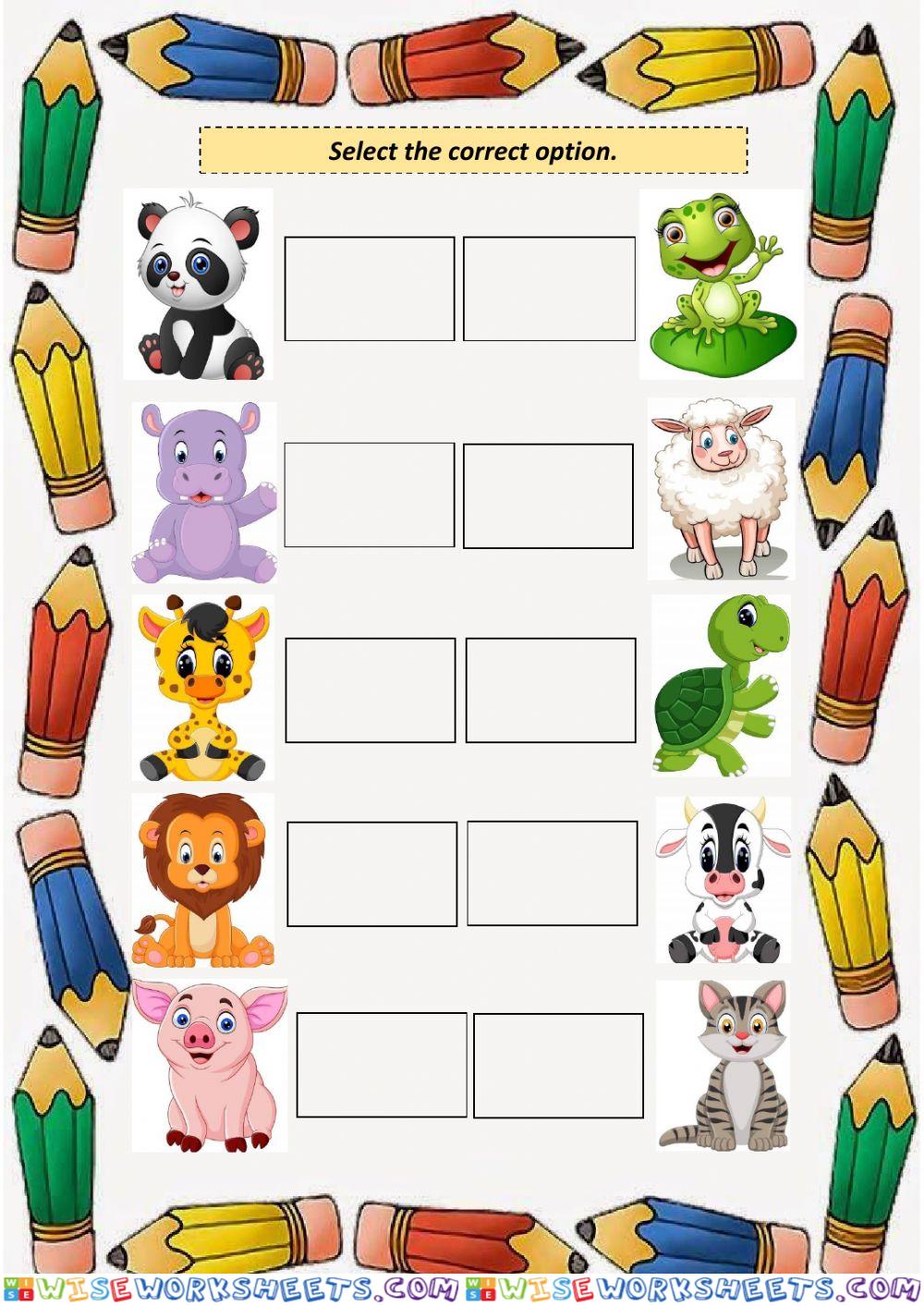 Animals