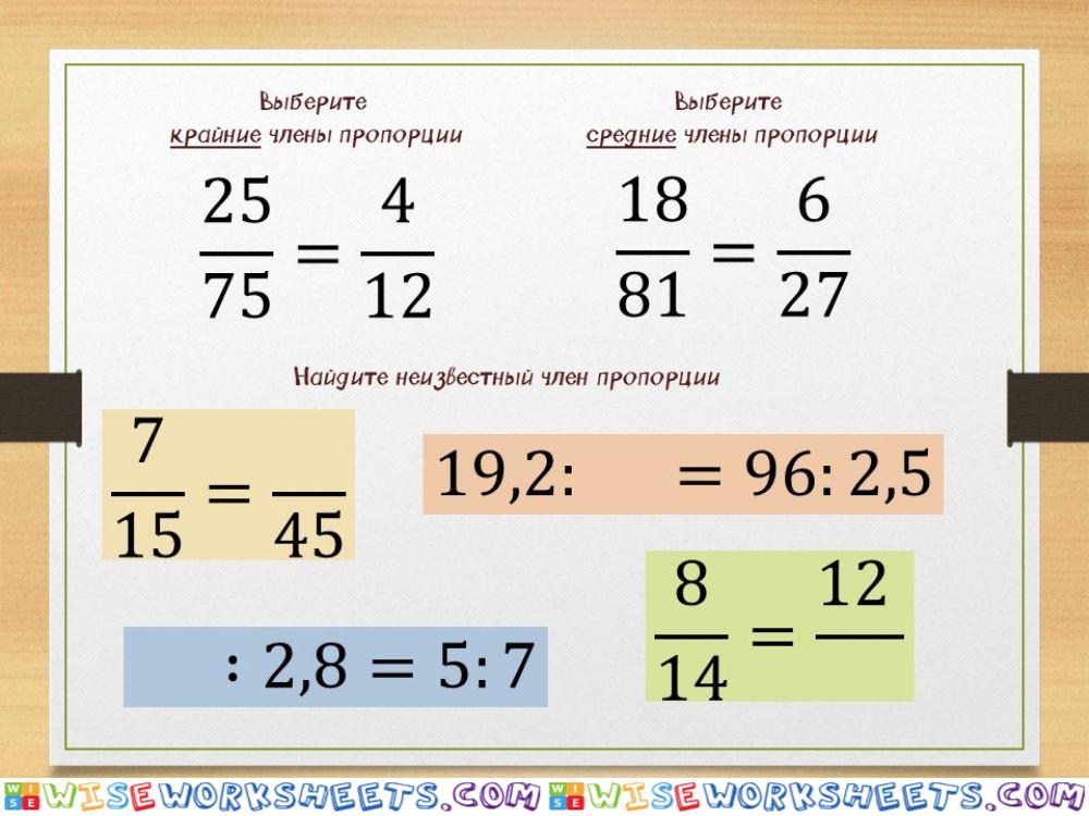 Пропорция №1