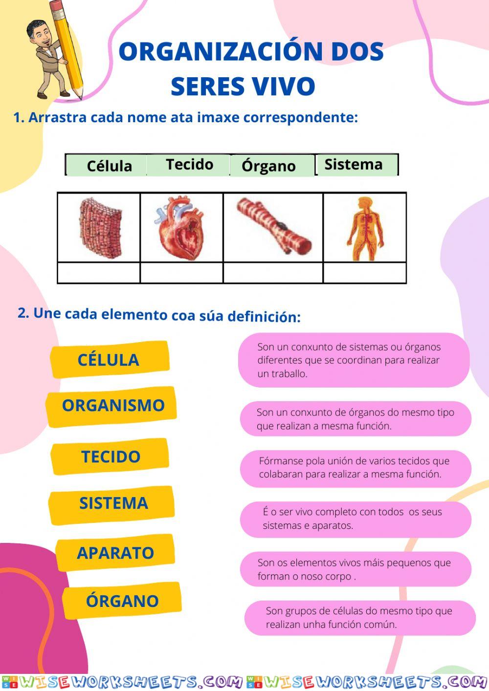 Célula. Organización de seres vivos