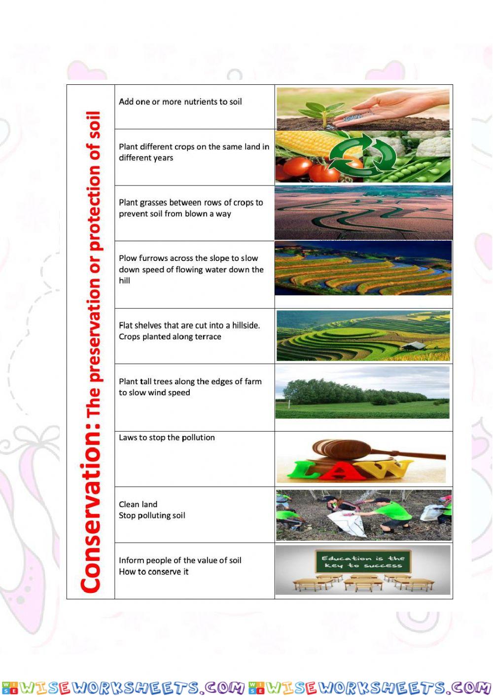 worksheet