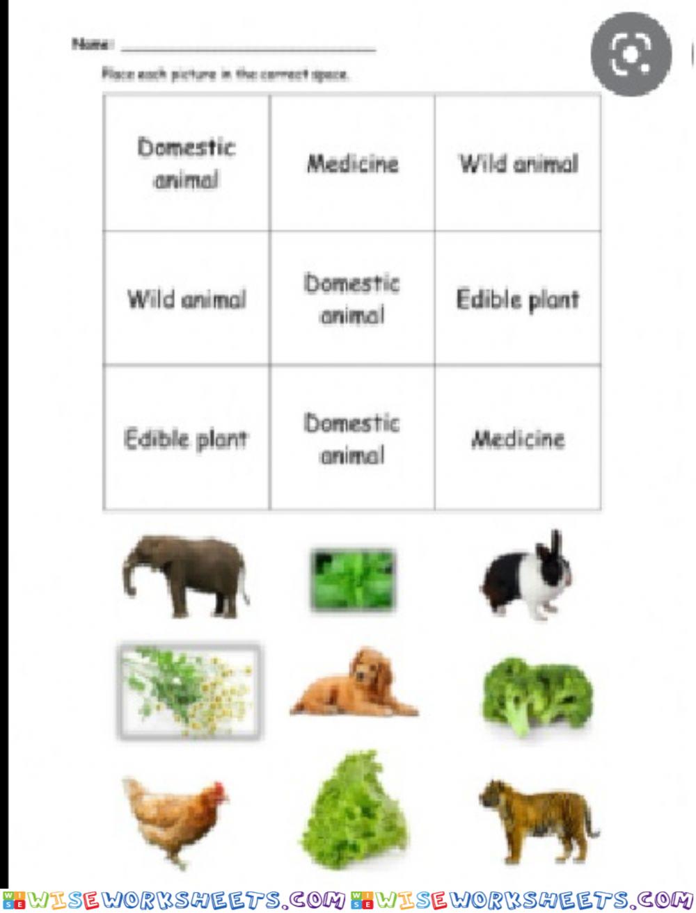 Plants and animals