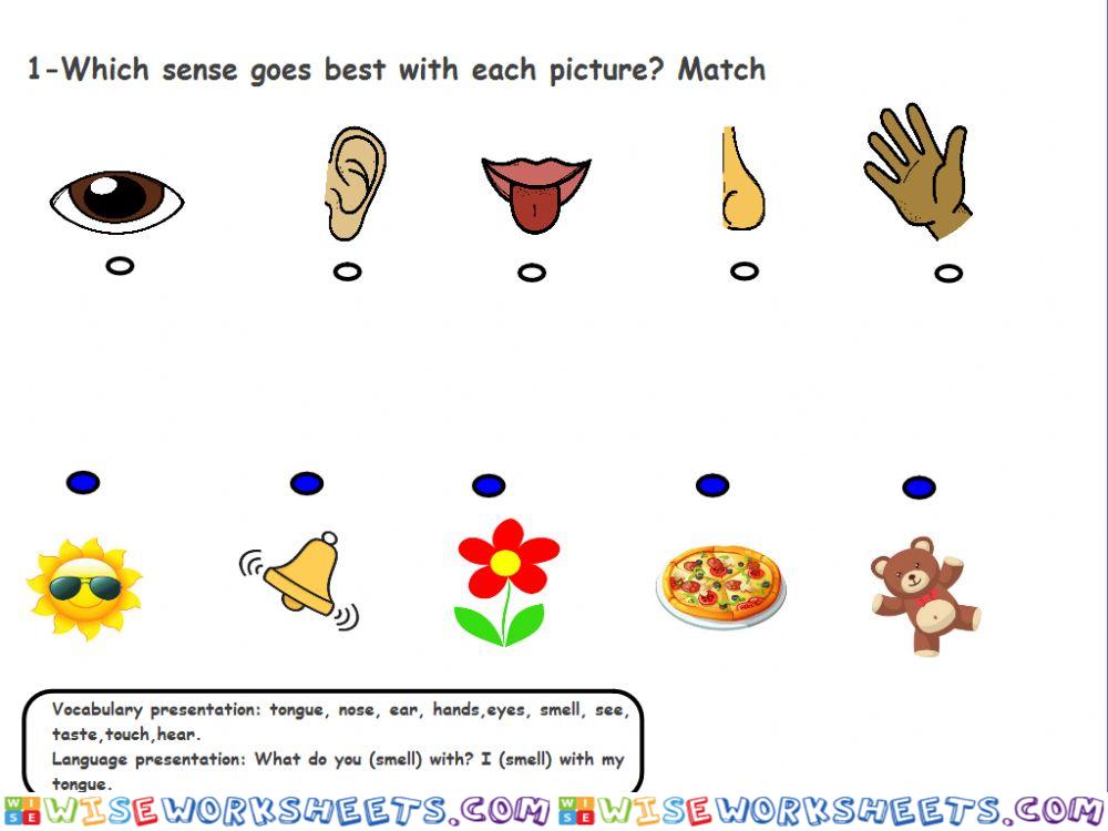 Five senses