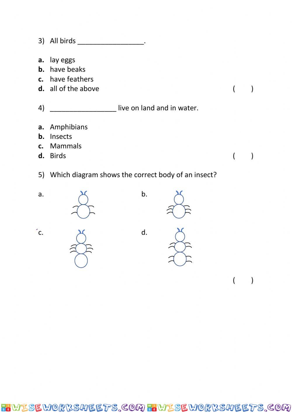 worksheet
