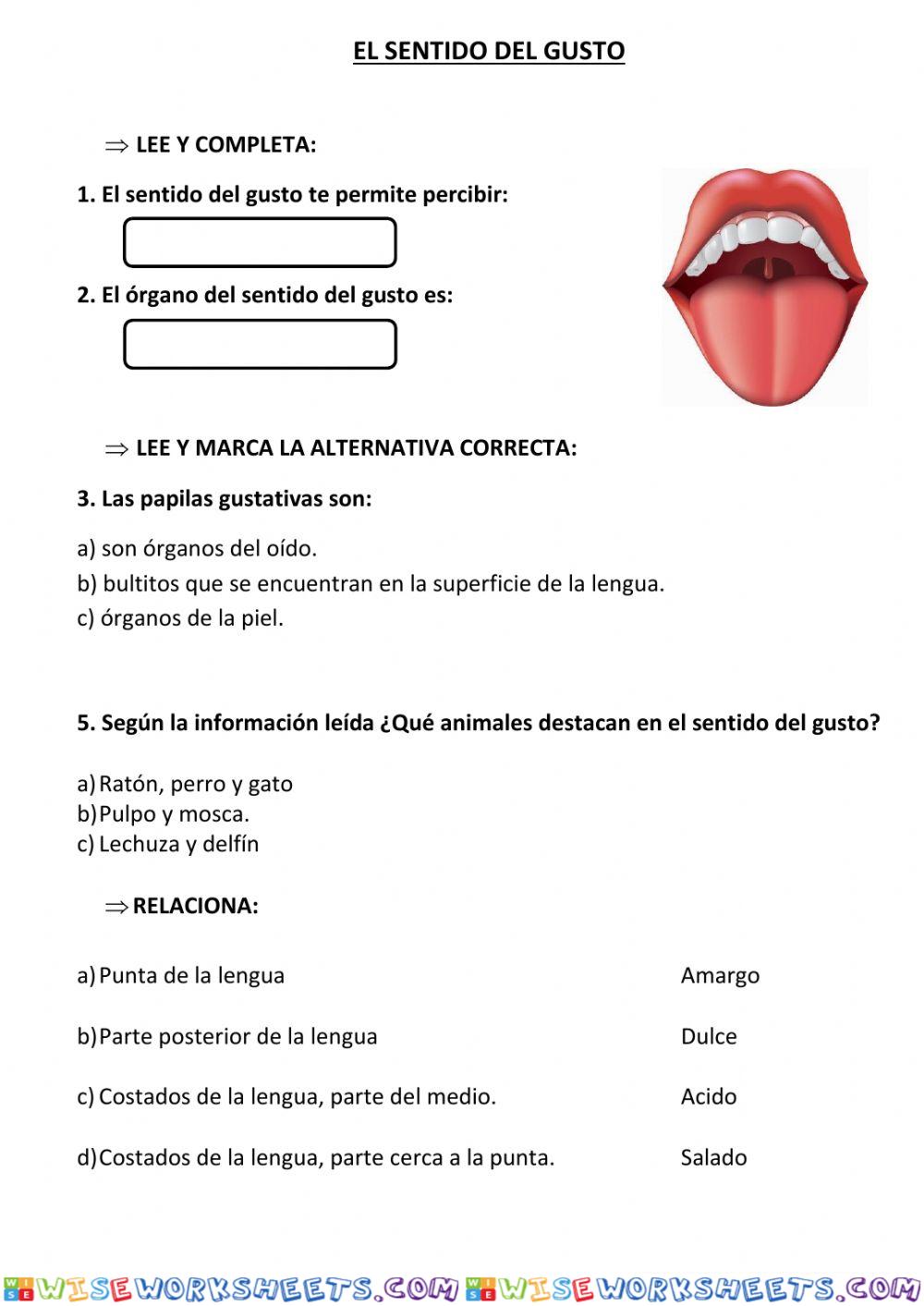 El sentido del gusto
