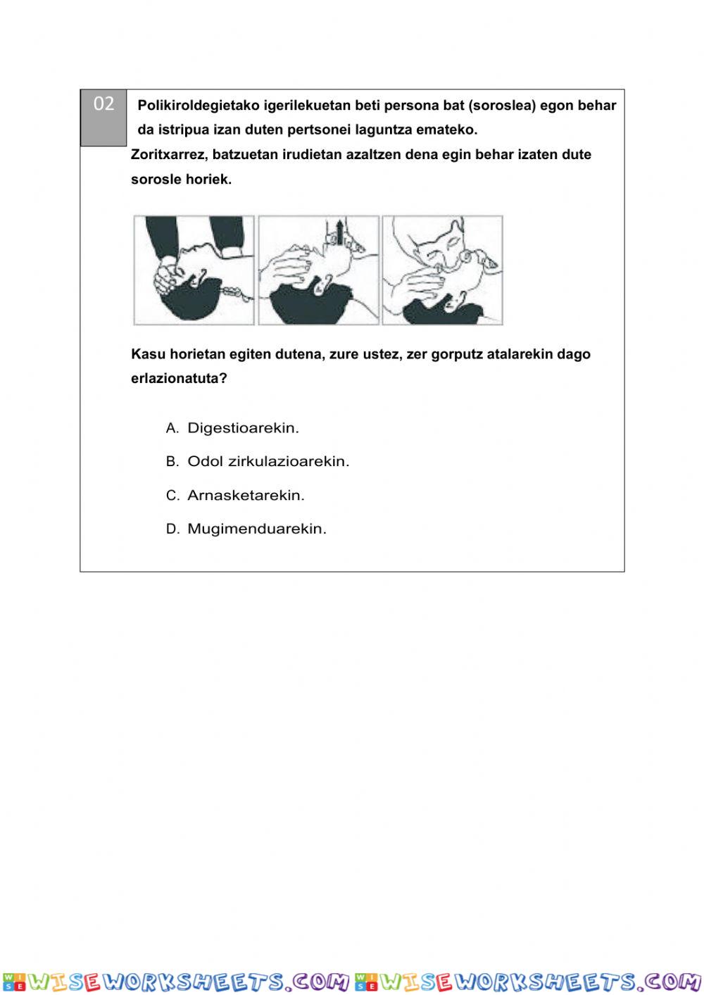 worksheet
