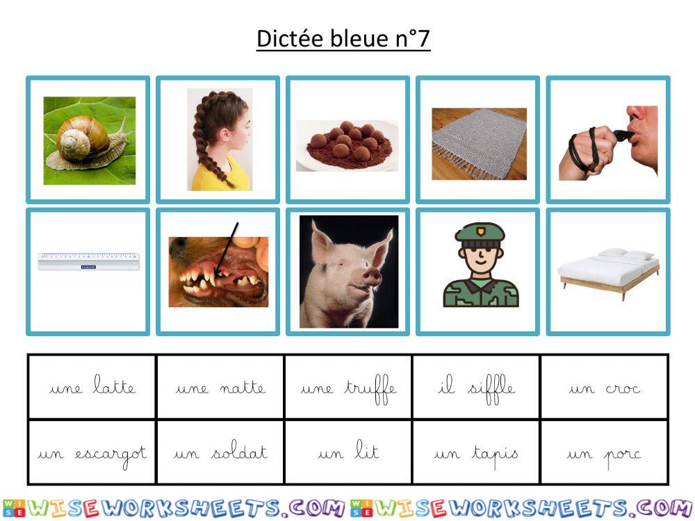 Dictée bleue 7