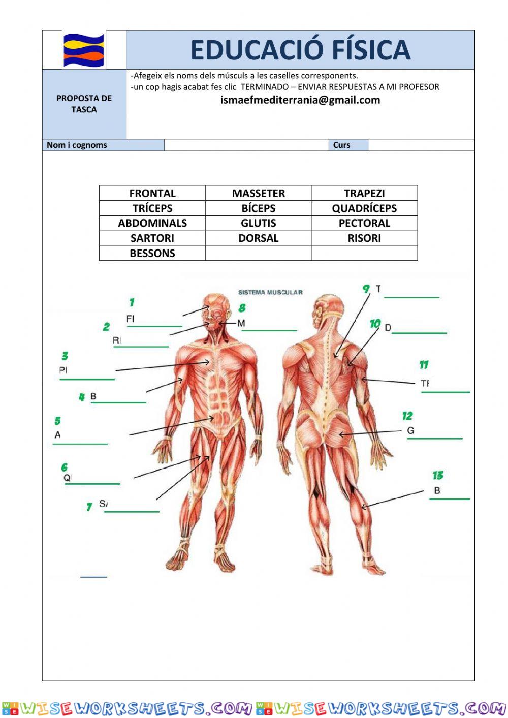 worksheet