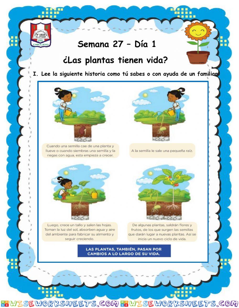 ¿Las plantas tienen vida?