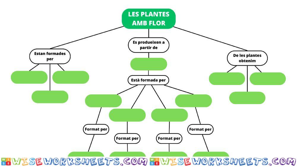 Esquema plantes