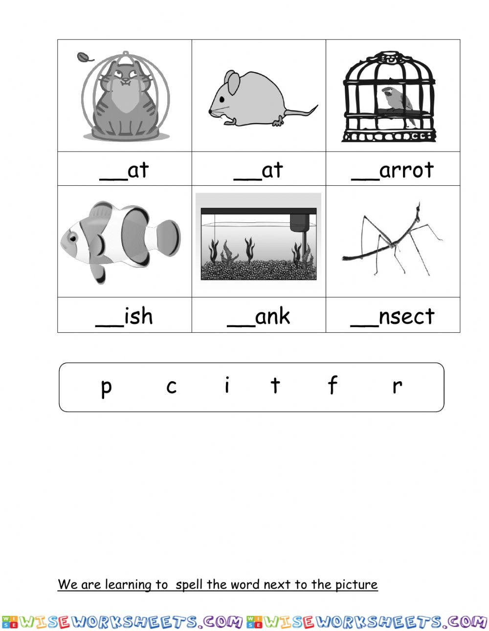 worksheet