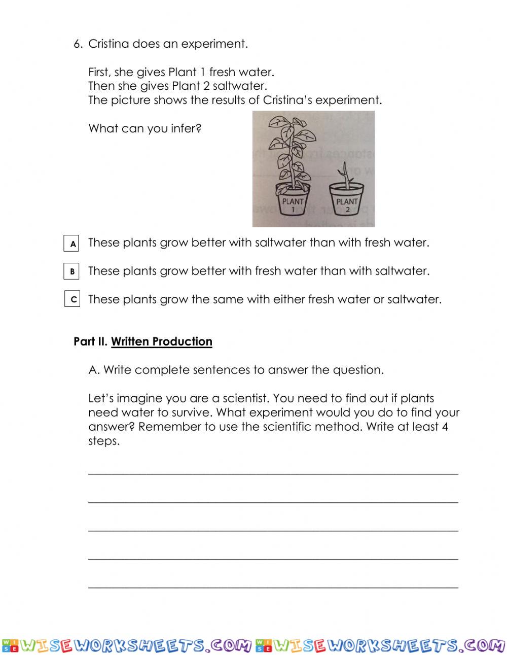 worksheet