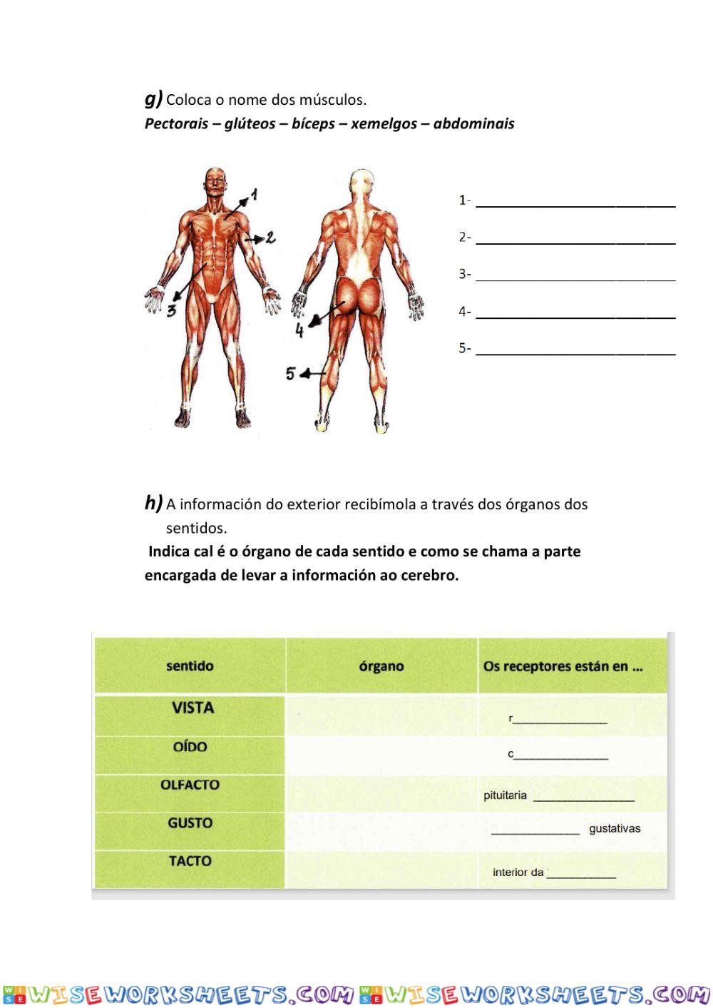 worksheet