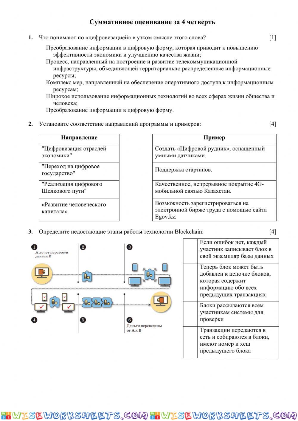 СОЧ по информатике 11 класс ЕМН