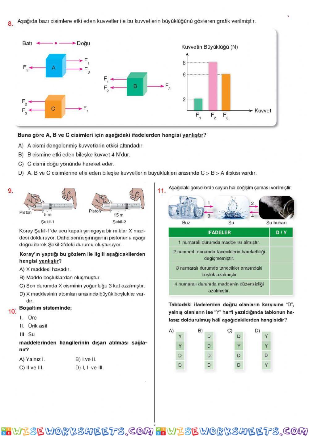 worksheet