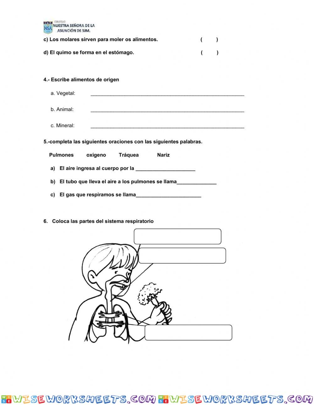 worksheet