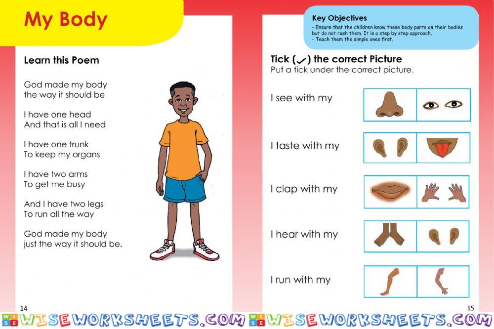 My Body