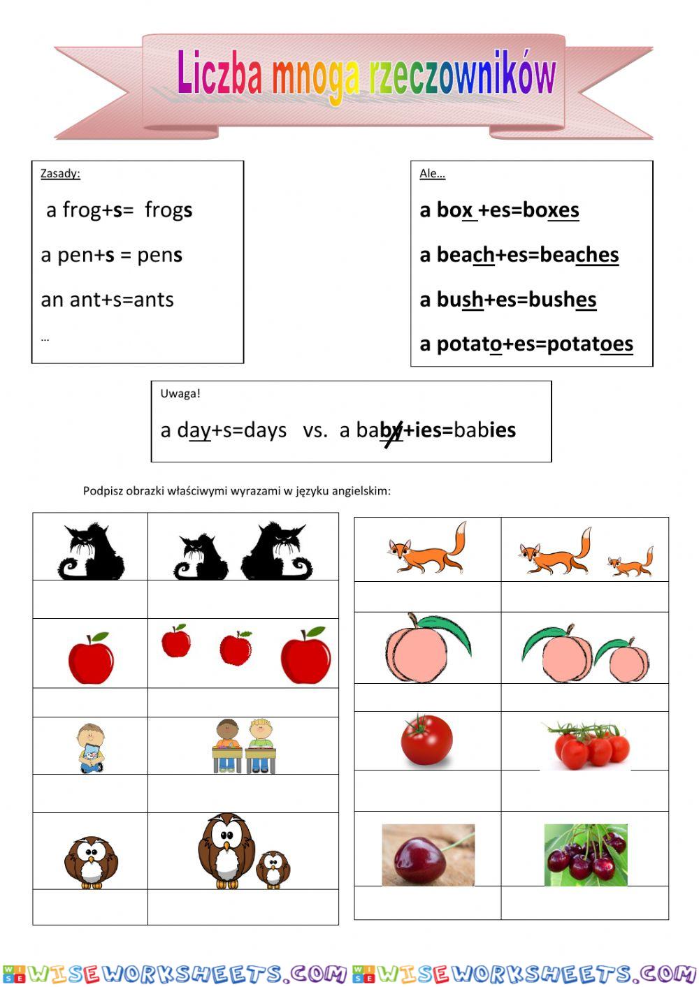 Nouns-plural