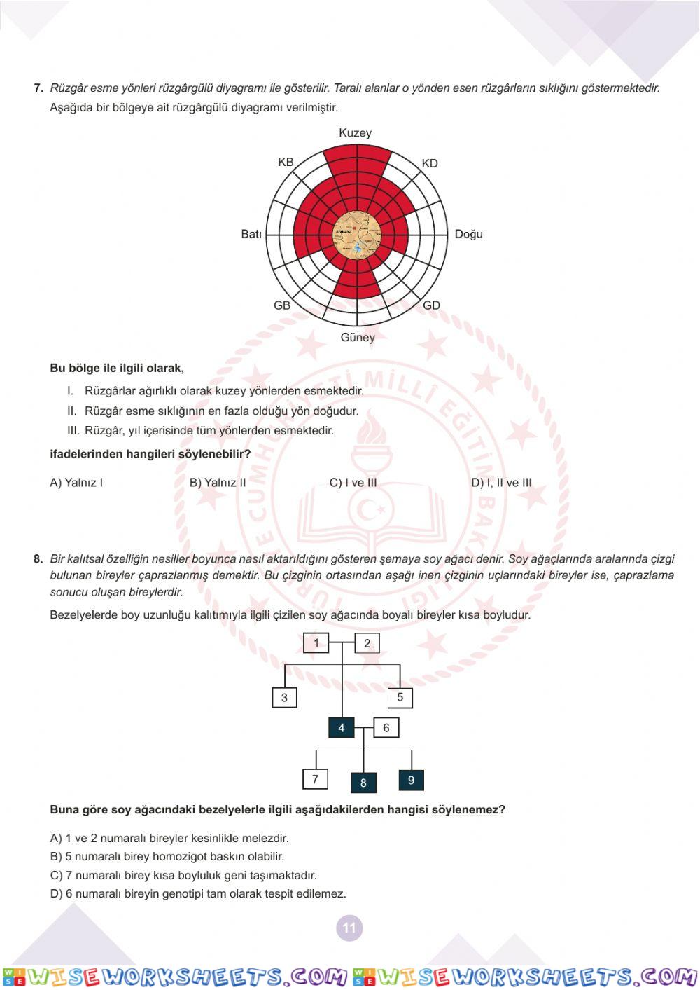 worksheet