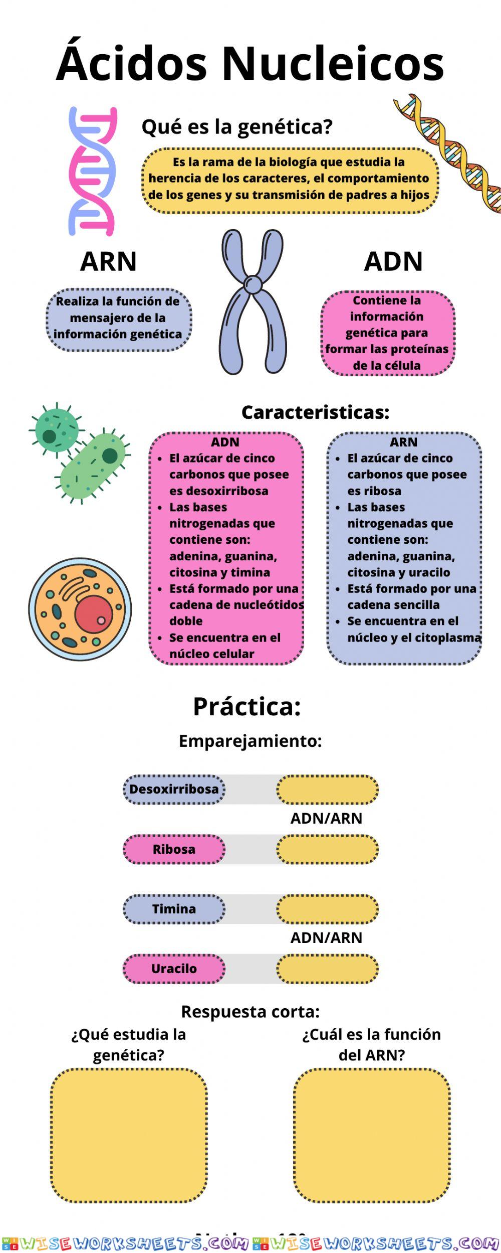 Proyecto de Ciencias Nathan 10