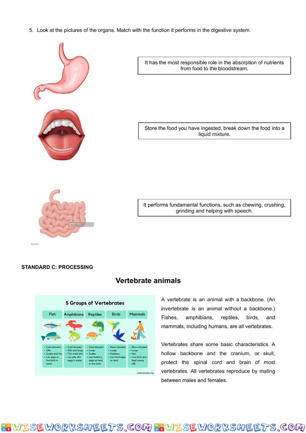 worksheet