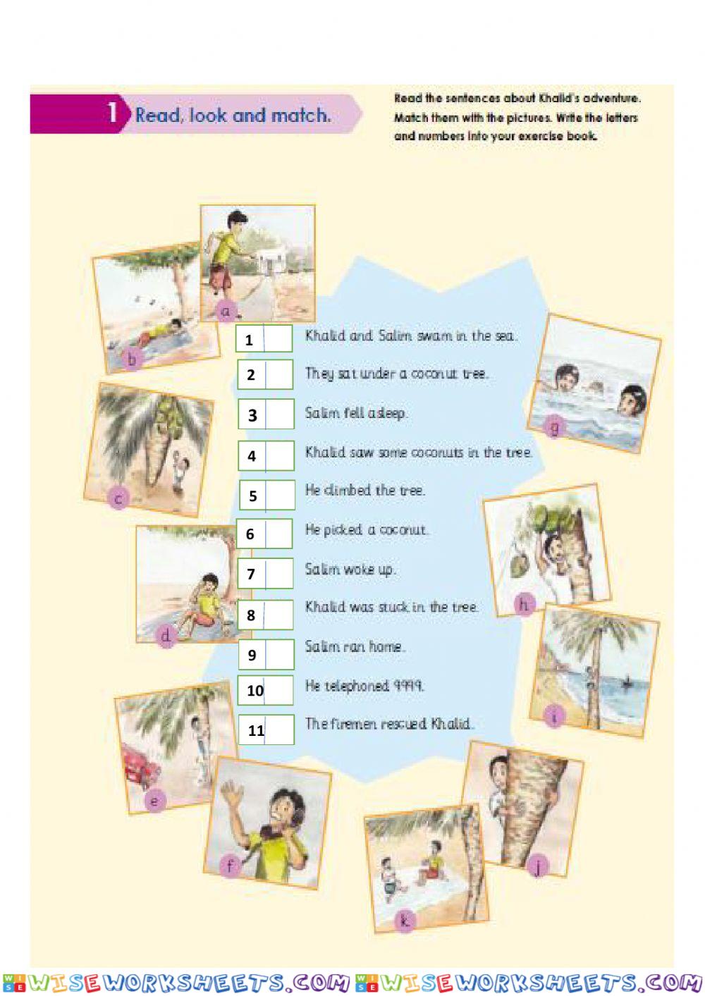 Khalid and the coconut tree