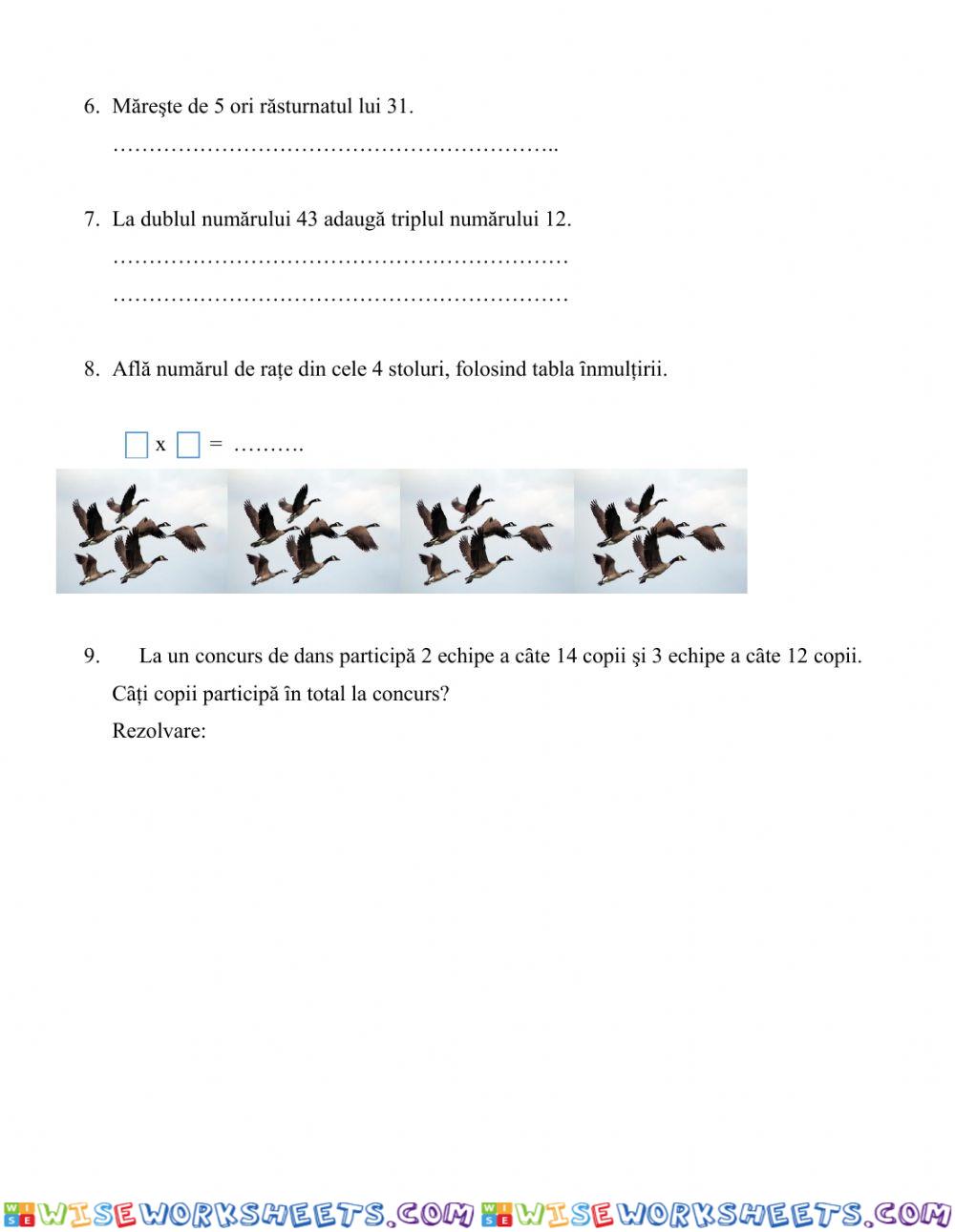 worksheet